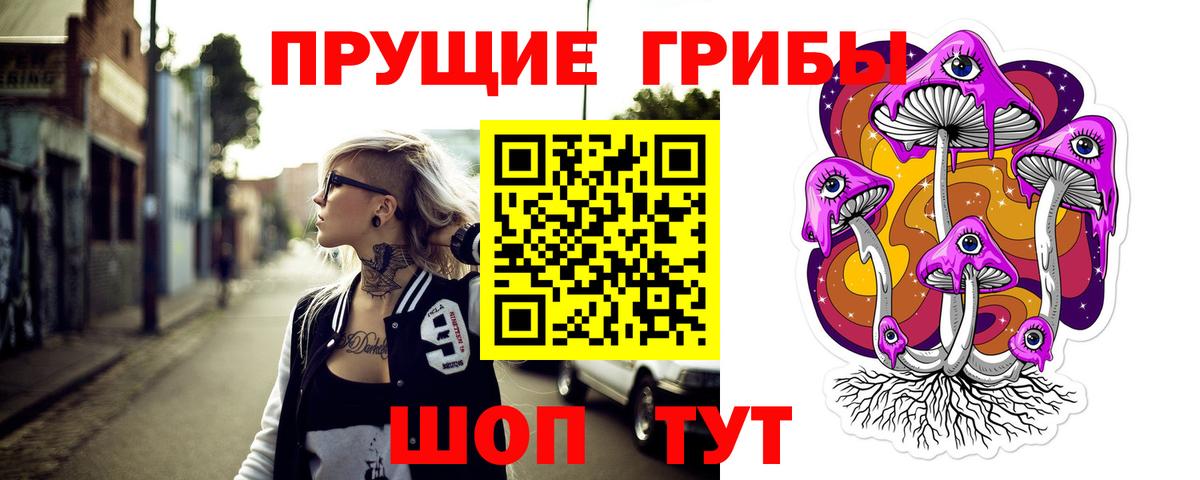 Галлюциногенные грибы GOLDEN TEACHER  Псилоцибиновые грибы прущие грибы  Вход с VPN  Черемхово 